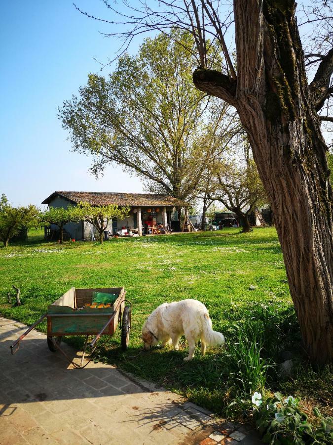 Agriturismo Elianto Ravenna Exteriör bild